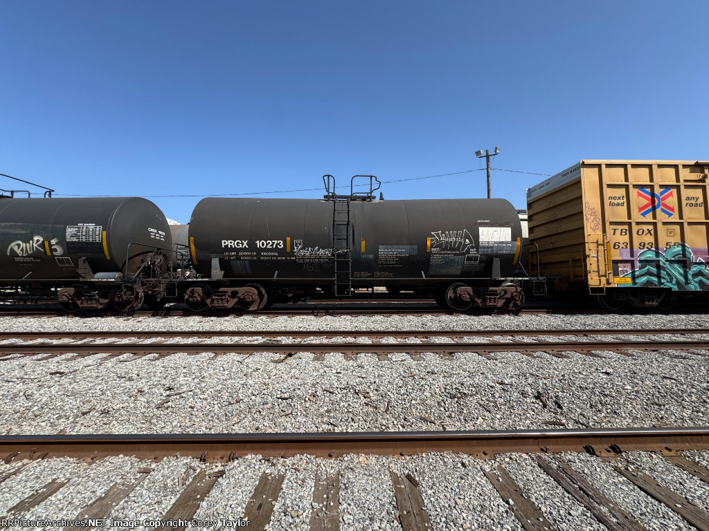 PRGX 10273